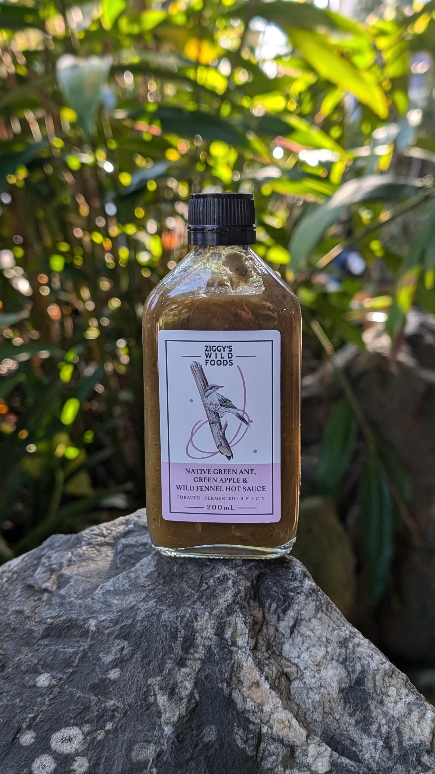 Ziggys Wild Foods Native Green Ant, Green Apple & Wild Fennel Fermented Hot Sauce