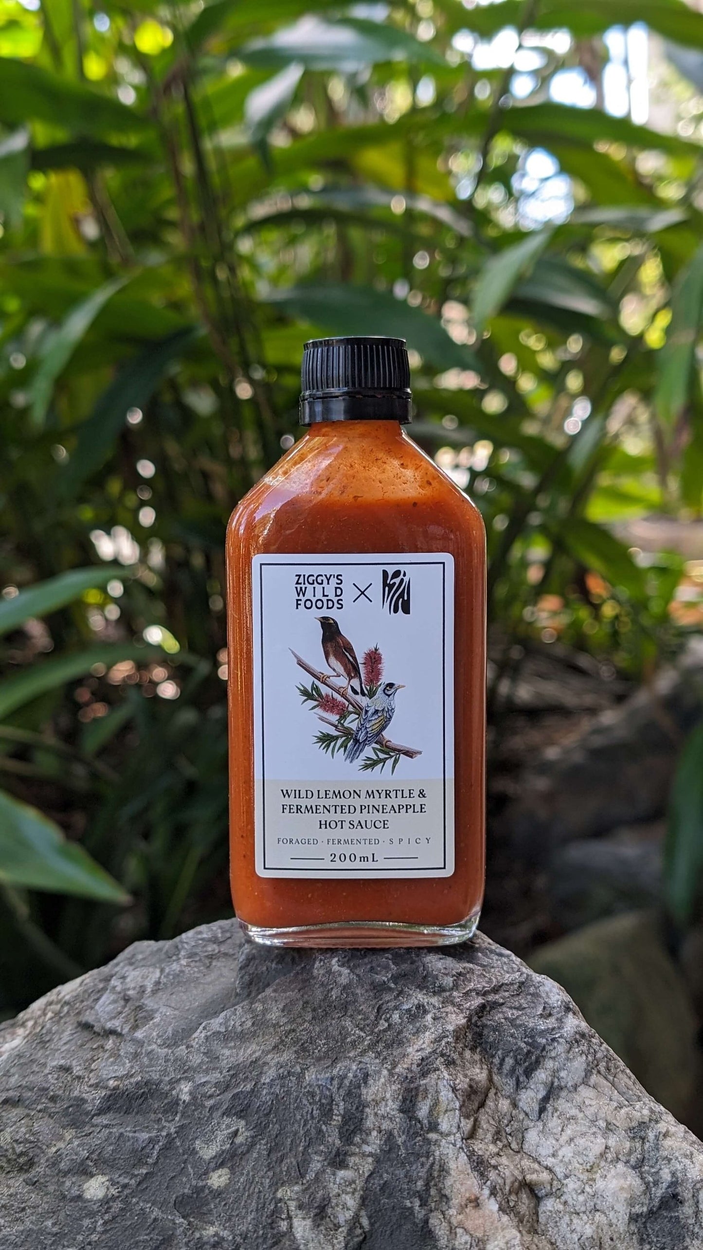 Ziggy's Wild Foods Wild Lemon Myrtle & Fermented Pineapple Hot Sauce
